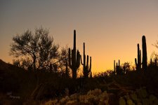 10-27-21-CR-_7505797_2021-10-27_18-03  -ON1.jpg