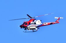 _ROY9616_01.jpg