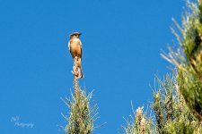 10-28-21-CR-_D502618_2021-10-28_12-23  -ON1.jpg