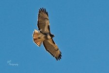 10-29-21-CR-_D502640_2021-10-29_13-41  -ON1.jpg