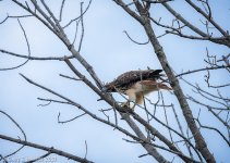 _DSC4949 low res.jpg
