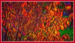 _DSC2194-Edit.jpg