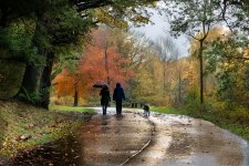 Autumn Coloursa.jpg