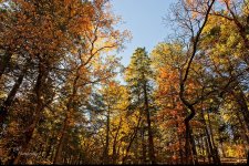 10-31-21-CR-_7505804_2021-10-31_14-16  -ON1.jpg