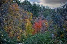 10-31-21-CR-_7505812_2021-10-31_16-57  -ON1.jpg