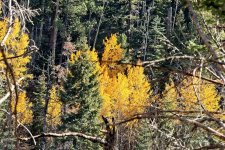 10-31-21-CR-_D502667_2021-10-31_15-16  -ON1.jpg