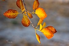 11-01-21-CR-_7505824_2021-11-01_17-01  -ON1.jpg