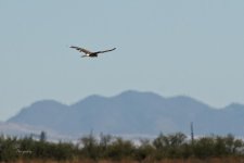 11-03-21-CR-_D502698_2021-11-03_12-28  -ON1.jpg