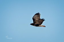 11-03-21-CR-_D502705_2021-11-03_14-37  -ON1.jpg