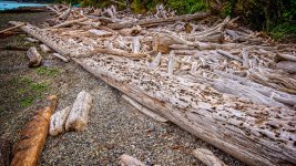 DSC_0289-Edit.jpg