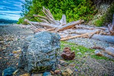 DSC_0300-Edit.jpg