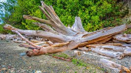 DSC_0302-Edit.jpg
