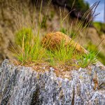 DSC_0347-Edit.jpg
