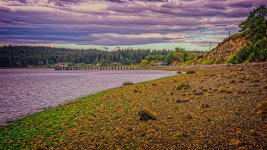 DSC_0373-Edit.jpg
