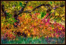 710_6378-HDR-Edit.jpg
