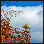 710_6418-Edit.jpg