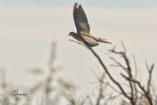 11-05-21-CR-_D502721_2021-11-05_14-57  -ON1.jpg