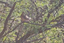 11-05-21-CR-_D502729_2021-11-05_14-58  -ON1.jpg