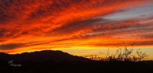 11-05-21-CR-_D502756 Pano-2021-11-05-173855_ -ON1 1.jpg