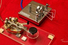 11-06-21-CR-_7505841-2021-11-06-194954_ -ON1.jpg