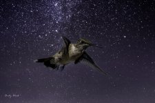 AW5_0865.jpg