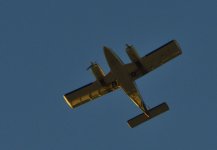 _ROY1171.jpg