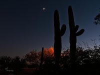 11-10-21-CR-_7505855-2021-11-10-175713_ -ON1.jpg