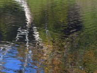 Lake.jpg