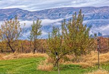 710_6515-Edit-Edit.jpg