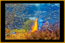 _DSC2458-Edit.jpg