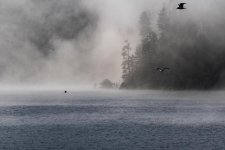 D75_7987.jpg