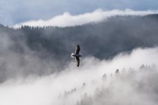 D75_7985.jpg