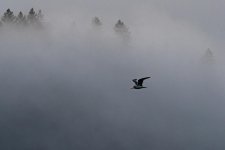 D75_7871.jpg