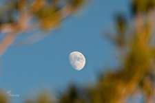 11-14-21-CR-_D502782-2021-11-14-165350_ -ON1.jpg