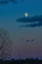 710_6637-Edit.jpg