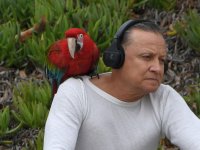 Parrot3.jpg