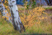 710_6641-Edit.jpg