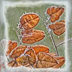 _DSC2669-Edit-Edit.jpg