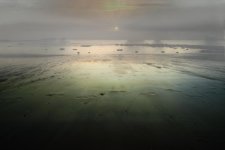 Fog2.jpg