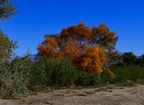 _ROY2833_01.jpg