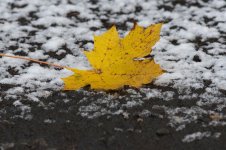 Autumn meets winter2.jpg
