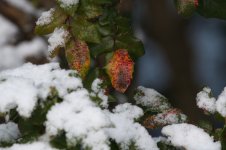 Autumn meets Winter.jpg