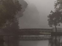 Fog3.jpg