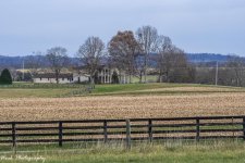 RD5_6645Farm.jpg