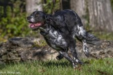 RD5_6602-Tucker.jpg