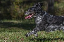 RD5_6604-Tucker.jpg
