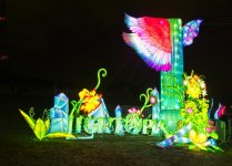 Lightopia N .jpg