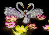 Lightopia N 5.jpg
