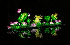 Lightopia N 6.jpg