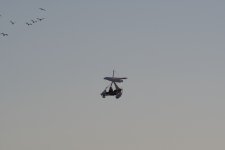 Microlite.jpg